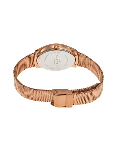 Ceas de dama Skagen Madsen SKW2299