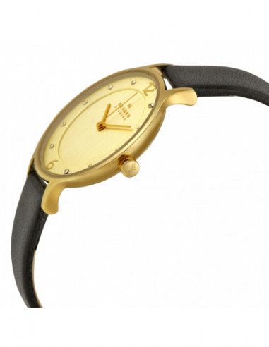 Ceas de dama Skagen Anita SKW2266