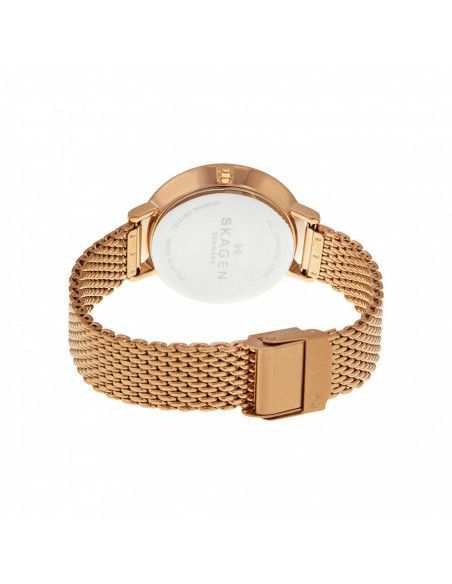 Ceas de dama Skagen Ditte SKW2334