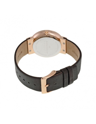 Ceas de dama Skagen Leonora SKW2223