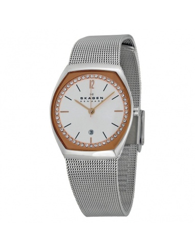 Ceas de dama Skagen Asta SKW2051