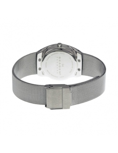 Ceas de dama Skagen Asta SKW2051