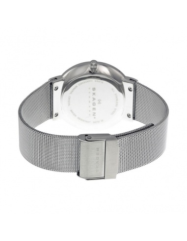 Ceas de dama Skagen SKW2201