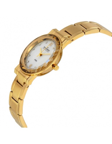 Ceas de dama Skagen 457SGGX