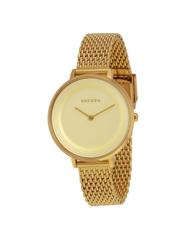 Ceas de dama Skagen Ditte SKW2333