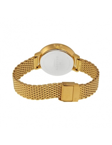 Ceas de dama Skagen Ditte SKW2333