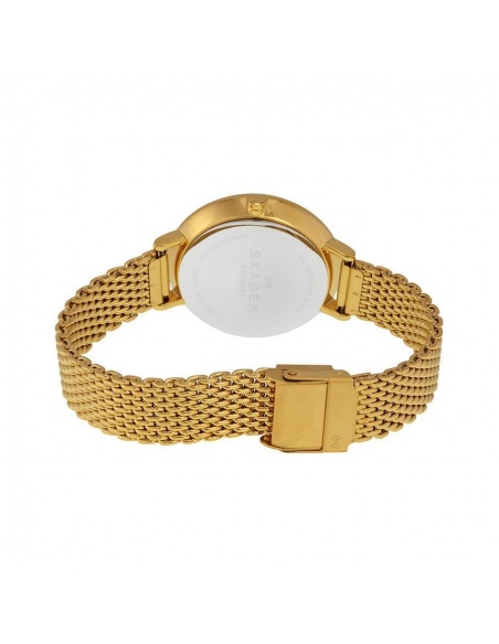 Ceas de dama Skagen Ditte SKW2333