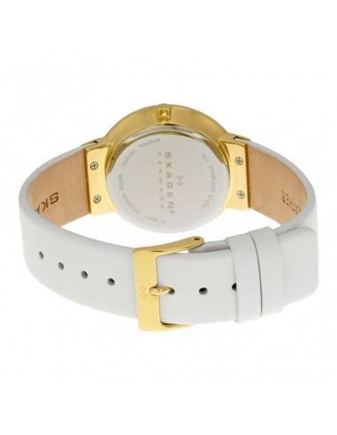 Ceas de dama Skagen SKW2033