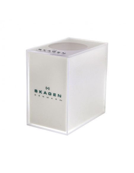 Ceas de dama Skagen SKW2033