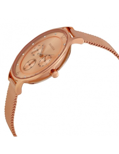 Ceas de dama Skagen Anita SKW2314