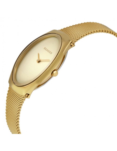 Ceas de dama Skagen Madsen SKW2298