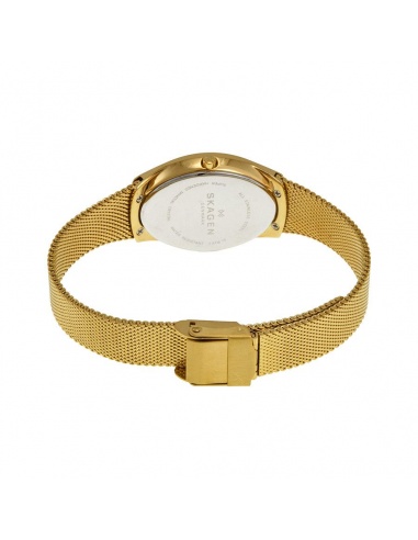 Ceas de dama Skagen Madsen SKW2298