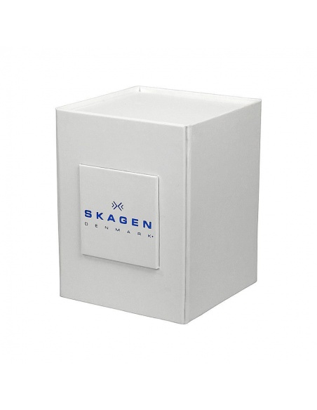 Ceas barbatesc Skagen Hald SKW6171