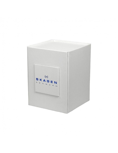 Ceas de dama Skagen Anita SKW2320