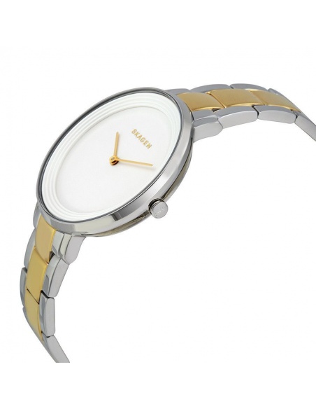Ceas de dama Skagen Ditte SKW2339