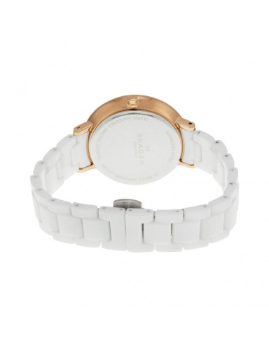 Ceas de dama Skagen Ditte SKW2316