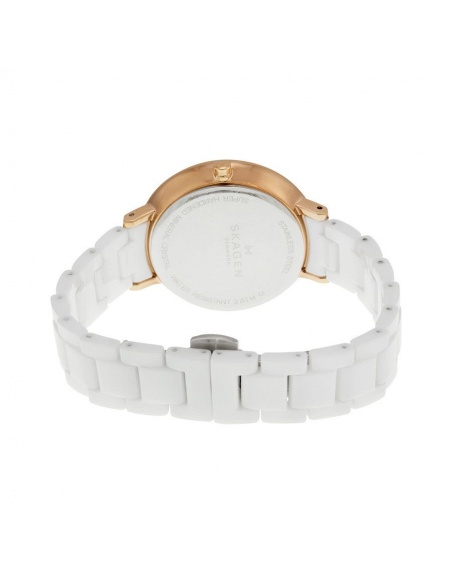 Ceas de dama Skagen Ditte SKW2316