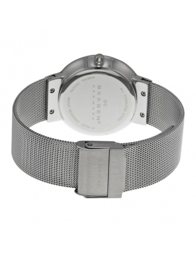Ceas de dama Skagen Leonora SKW2004