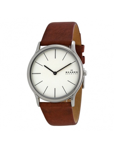 Ceas barbatesc Skagen SKW6083