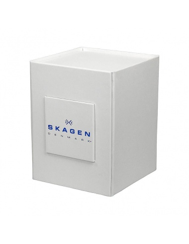 Ceas barbatesc Skagen SKW6083