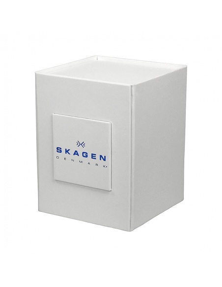 Ceas barbatesc Skagen SKW6083