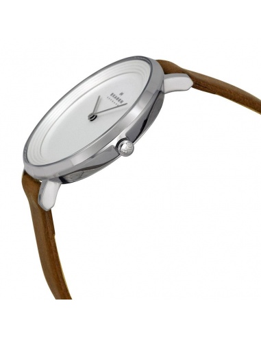 Ceas de dama Skagen Ditte SKW2214