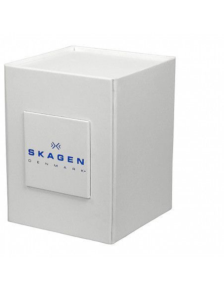 Ceas de dama Skagen Swarovski 914SBXC