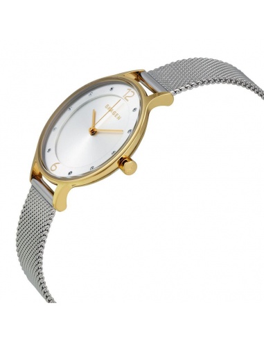 Ceas de dama Skagen Anita SKW2340