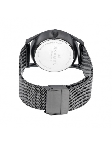 Ceas barbatesc Skagen Holst SKW6179