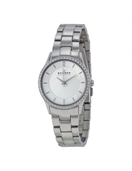 Ceas de dama Skagen Steel 347SSX