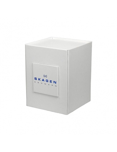 Ceas de dama Skagen Anita SKW2310