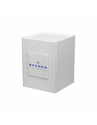 Ceas de dama Skagen Anita SKW2322