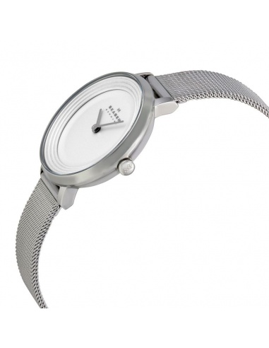 Ceas de dama Skagen Ditte SKW2211