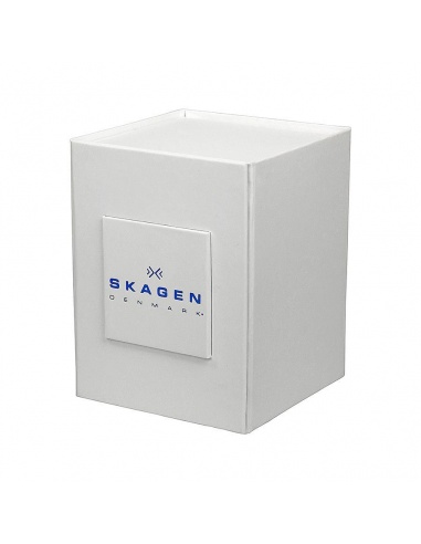 Ceas de dama Skagen Anita SKW2147