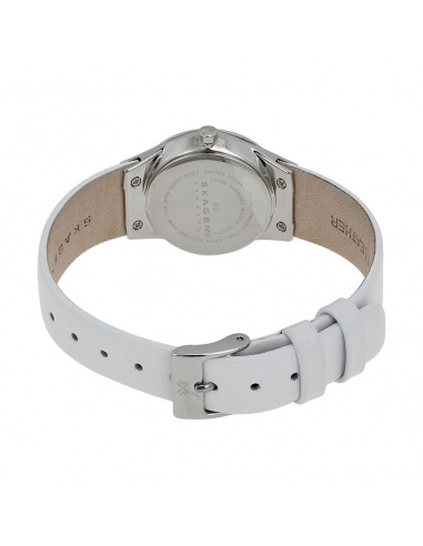 Ceas de dama Skagen Swarovski 630SSLW