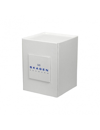 Ceas de dama Skagen Swarovski 630SSLW