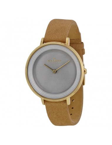 Ceas de dama Skagen Ditte SKW2215