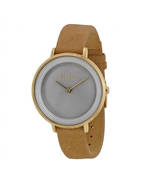 Ceas de dama Skagen Ditte SKW2215
