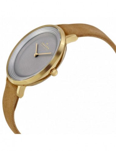 Ceas de dama Skagen Ditte SKW2215