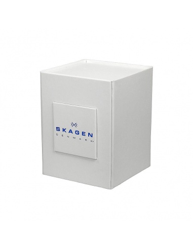 Ceas de dama Skagen Anita SKW2312