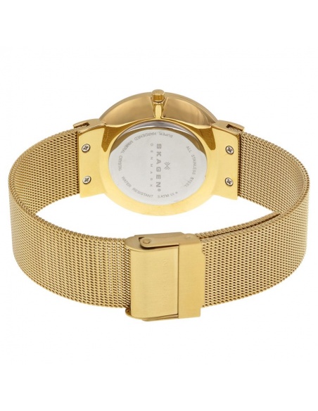 Ceas de dama Skagen Ancher SKW2129