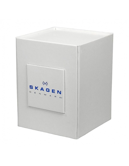 Ceas de dama Skagen Ancher SKW2129