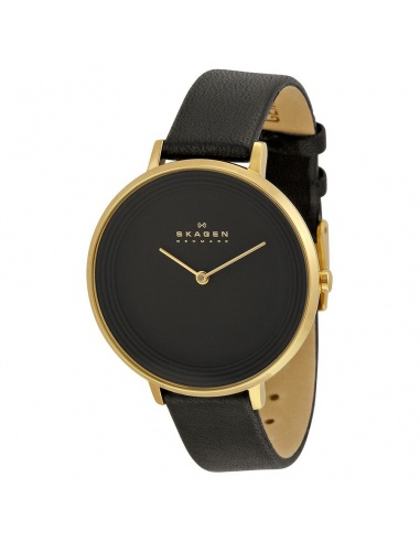 Ceas de dama Skagen Ditte SKW2286