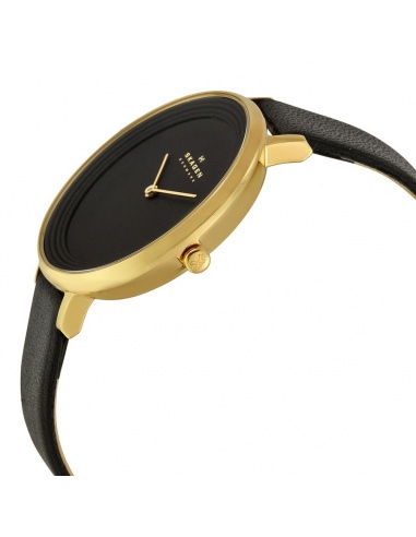 Ceas de dama Skagen Ditte SKW2286