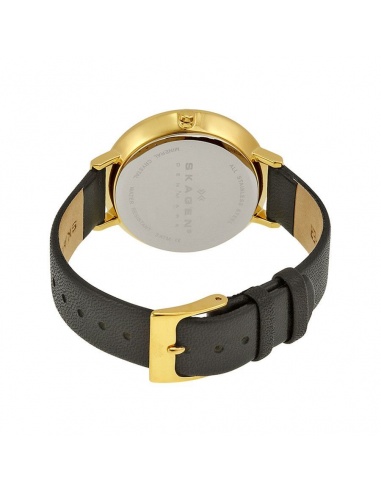Ceas de dama Skagen Ditte SKW2286
