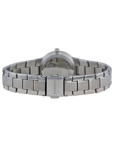 Ceas de dama Skagen Steel 430SSXD