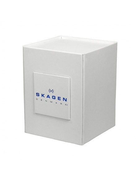 Ceas de dama Skagen Steel 430SSXD