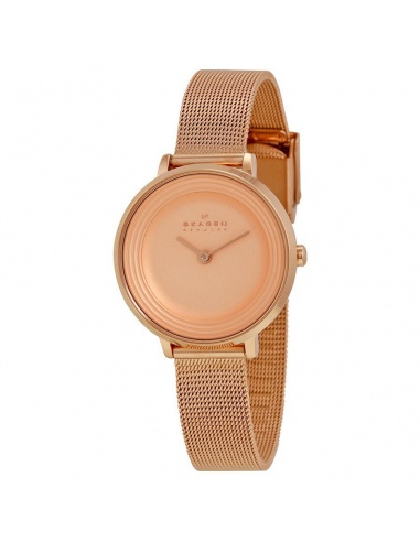Ceas de dama Skagen SKW2213