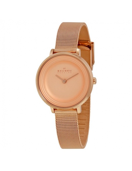 Ceas de dama Skagen SKW2213