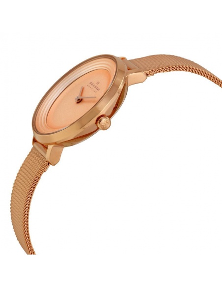 Ceas de dama Skagen SKW2213